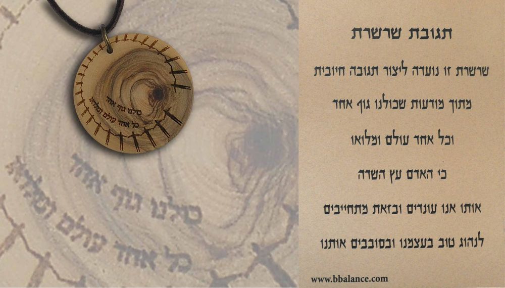 תליון עץ זית חרוט «כולנו גוף אחד, כל אחד עולם ומלואו», לצד כרטיס «תגובת שרשרת».